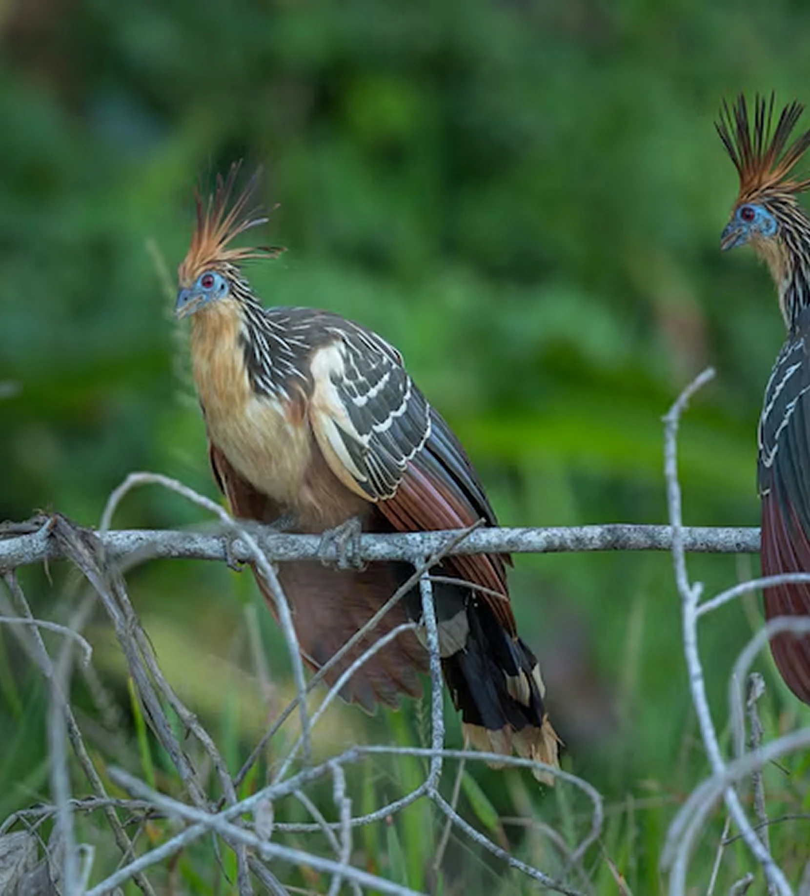 Grotte de Majunga avec formations rocheuses
